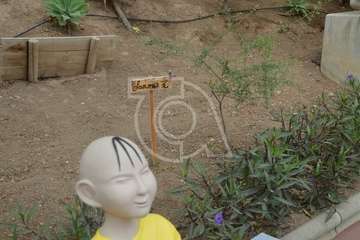 Daños a la escultura de Sanmao en San Juan (Foto TA)